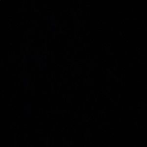 Meet your Posher, Camille